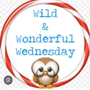 👗👗VINTAGE SHOW FRI OCT 31 8am Cashmere Wool Silk Linen👗👗